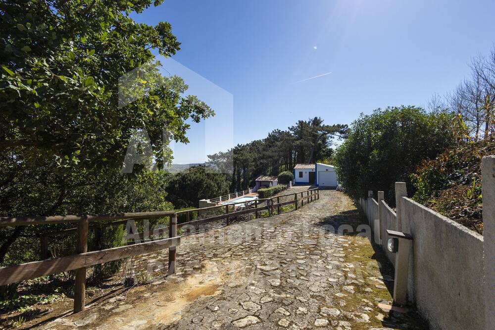 Photo of Outdoor in Ericeira