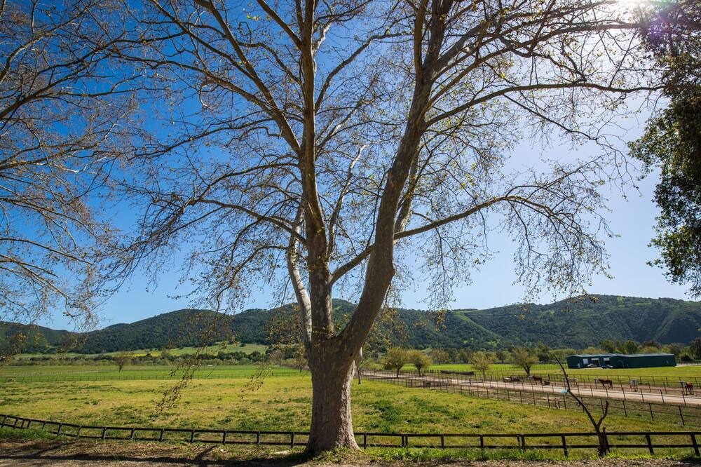 Photo of Outdoor in Solvang
