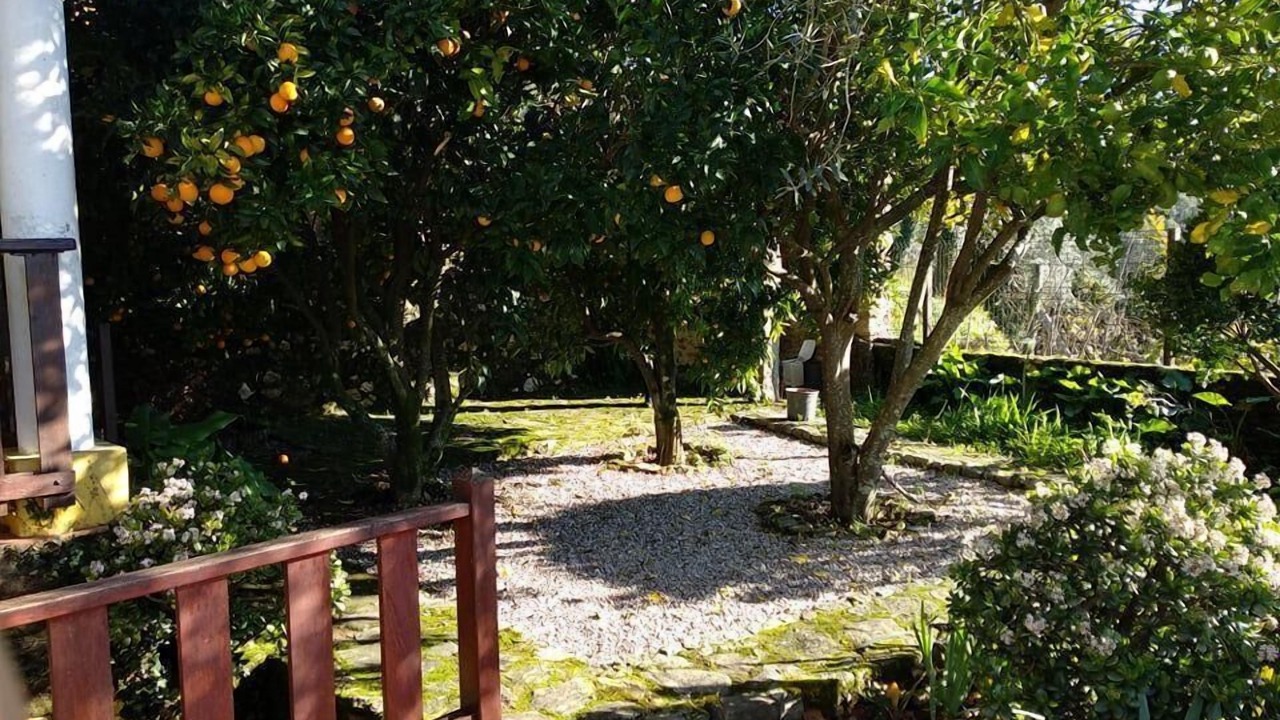 Photo of Outdoor in Sever do Vouga