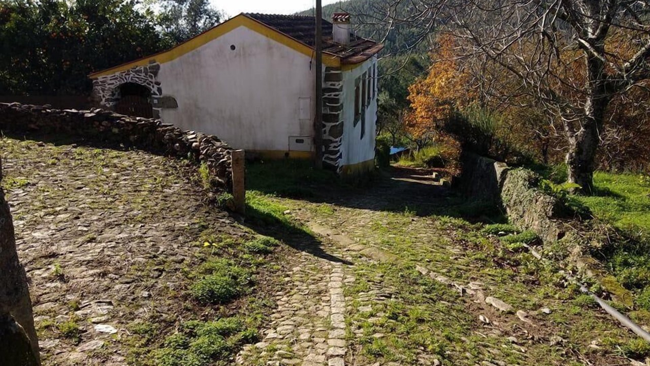 Photo of Outdoor in Sever do Vouga