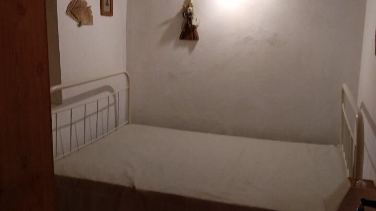 Photo of Others in Sever do Vouga