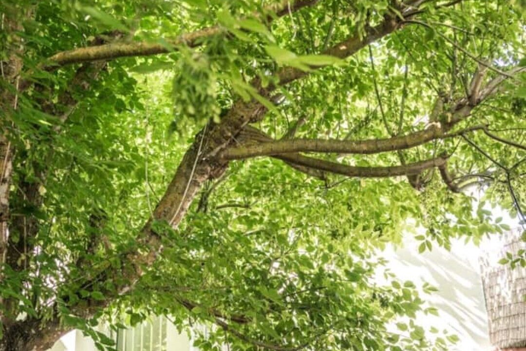 Photo of Outdoor in Vila Nova de Milfontes