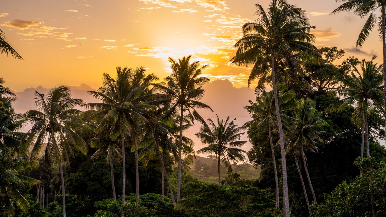 Photo of Bedroom in Taveuni Island East