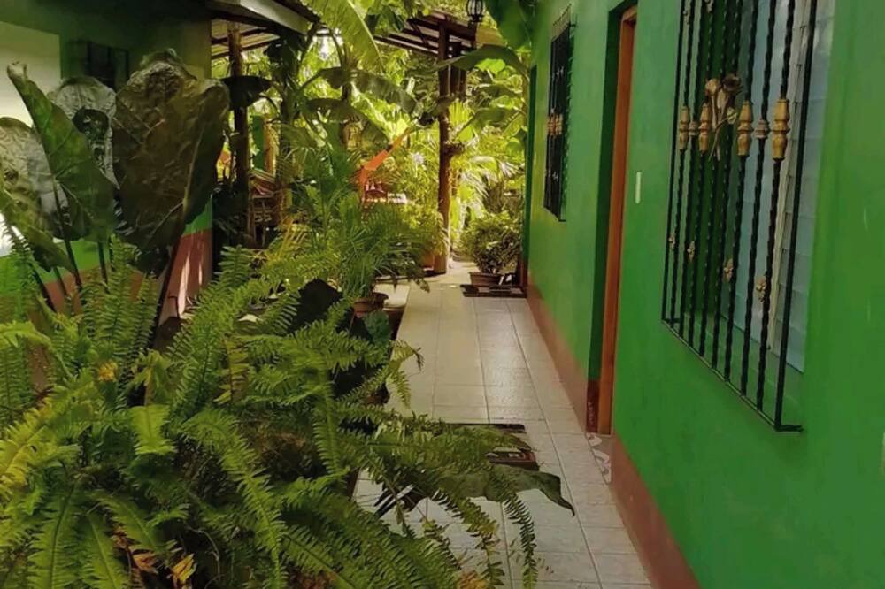 Photo of Outdoor in Moyogalpa
