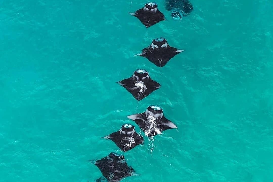 Photo of Others in Kendhoo