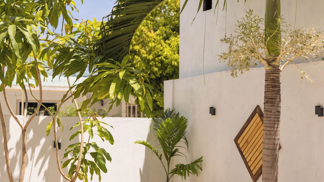 Photo of Outdoor in Kendhoo