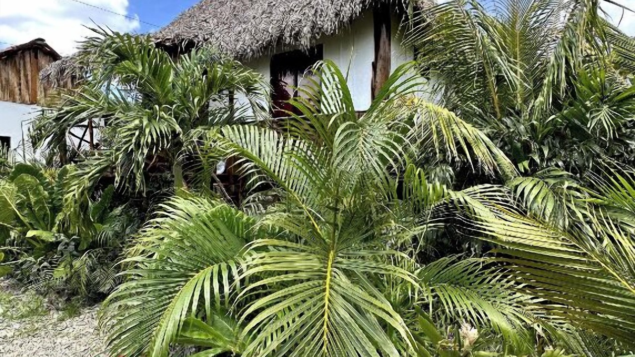 Photo of Livingroom in Popoyo
