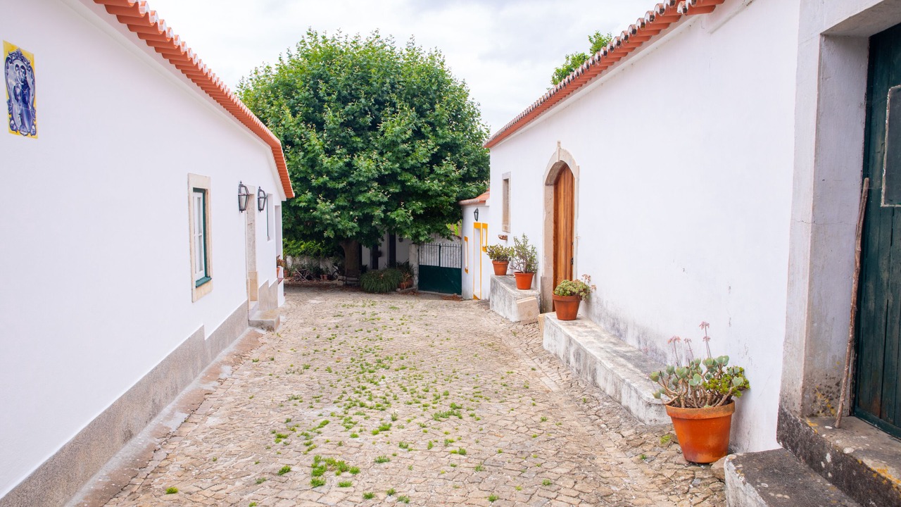 Photo of Outdoor in Carvalhal Benfeito