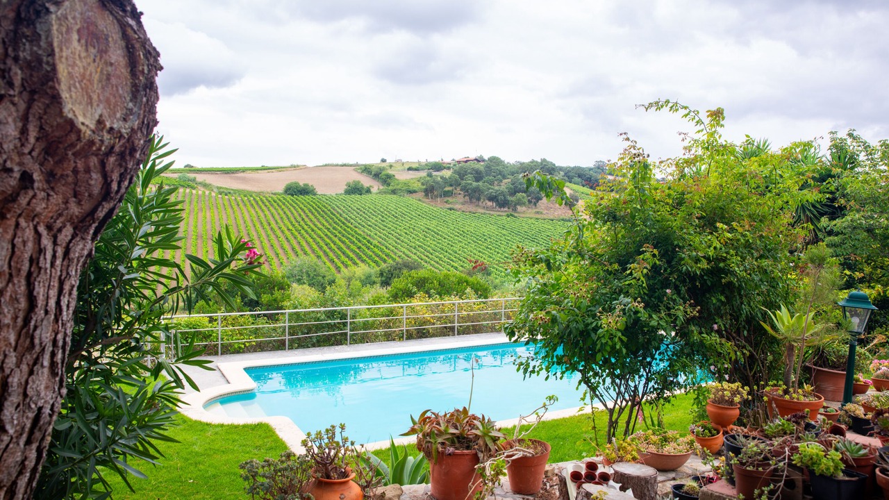 Photo of Outdoor in Carvalhal Benfeito