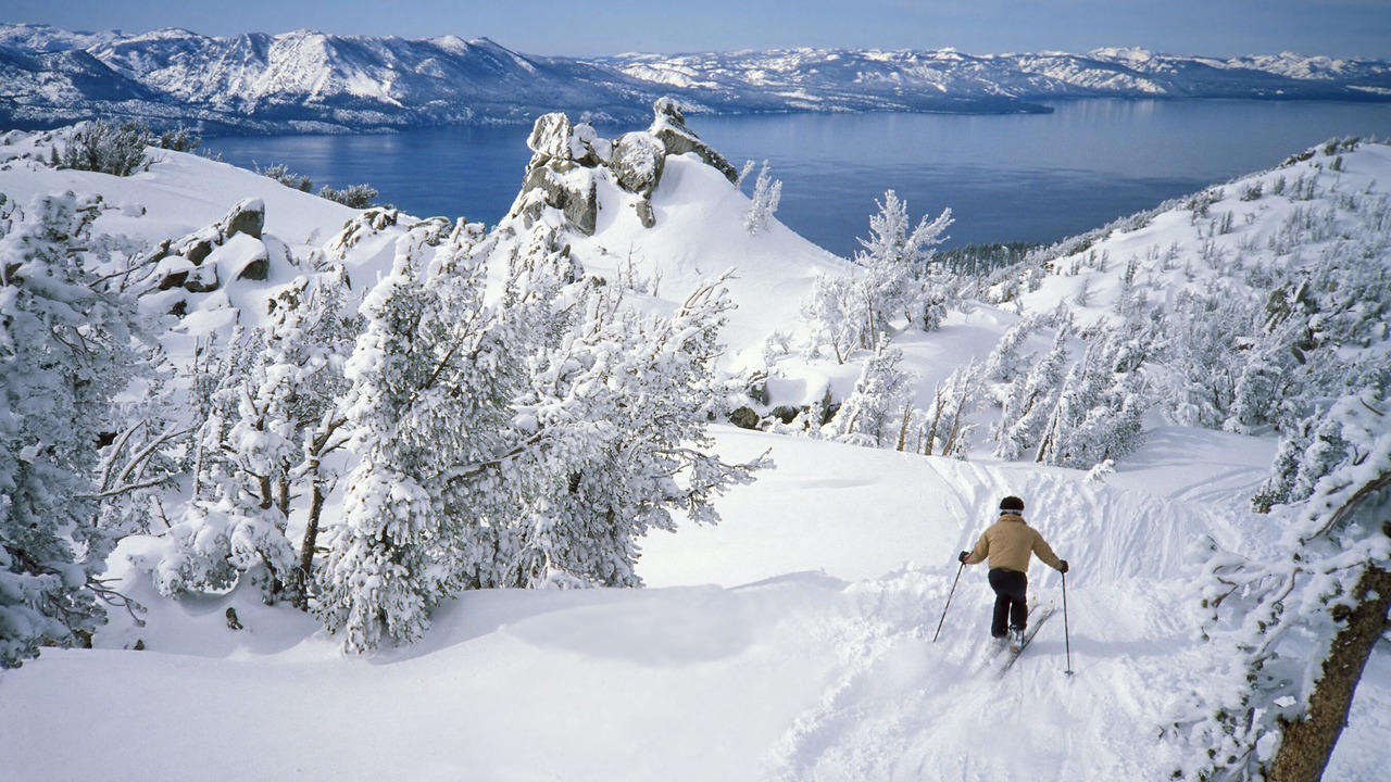 Photo of Others in Tahoe Paradise