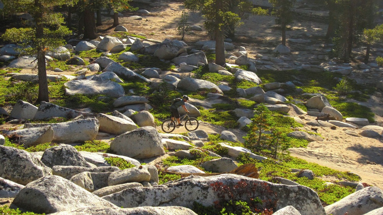 Photo of Outdoor in Tahoe Paradise
