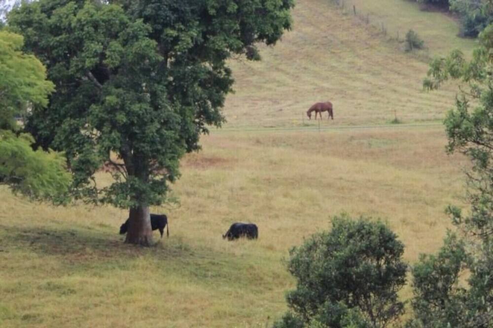 Photo of Others in Mapleton