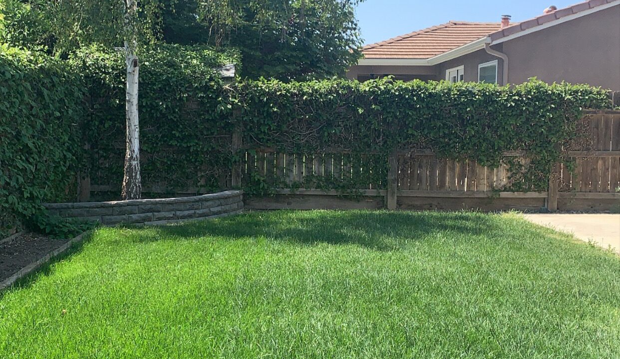 Photo of Outdoor in Visalia