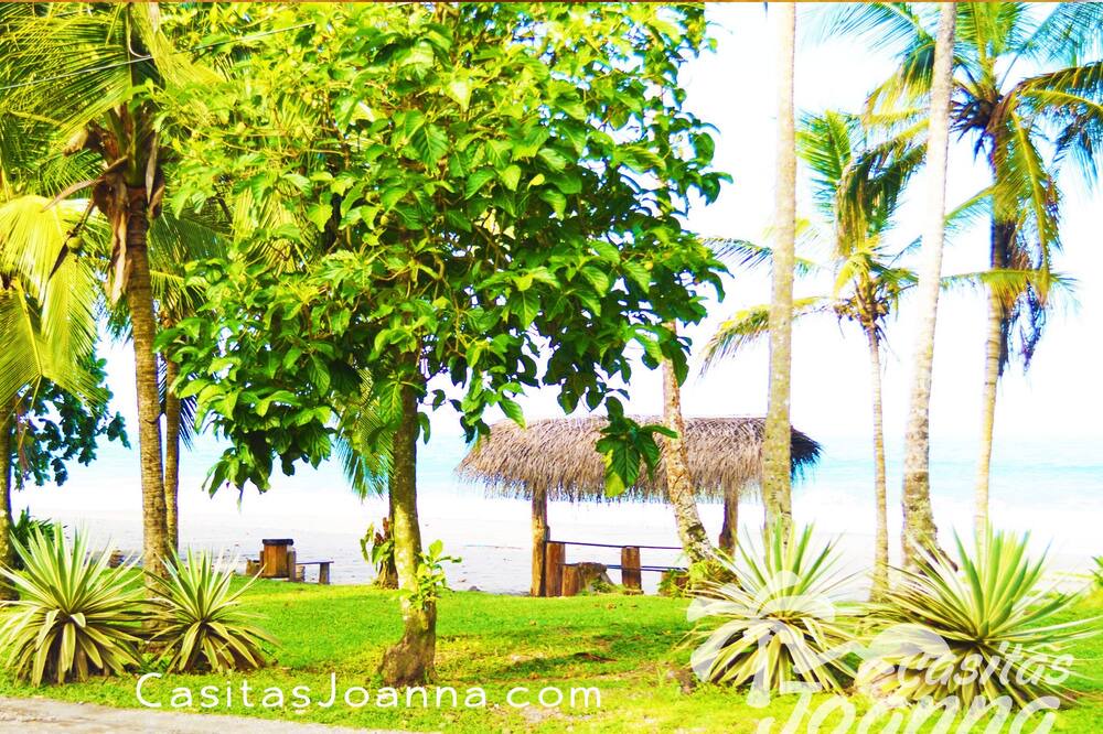 Photo of Others in Puerto Viejo de Talamanca