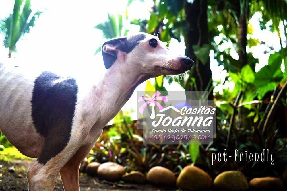 Photo of Outdoor in Puerto Viejo de Talamanca