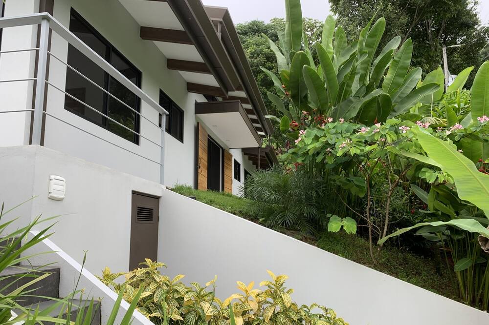 Photo of Outdoor in Ballena
