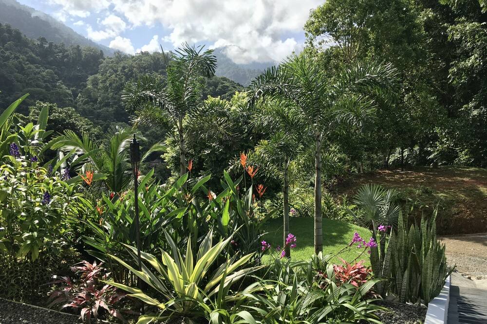 Photo of Outdoor in Ballena
