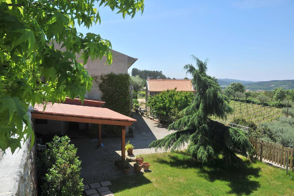 Photo of Outdoor in Seia