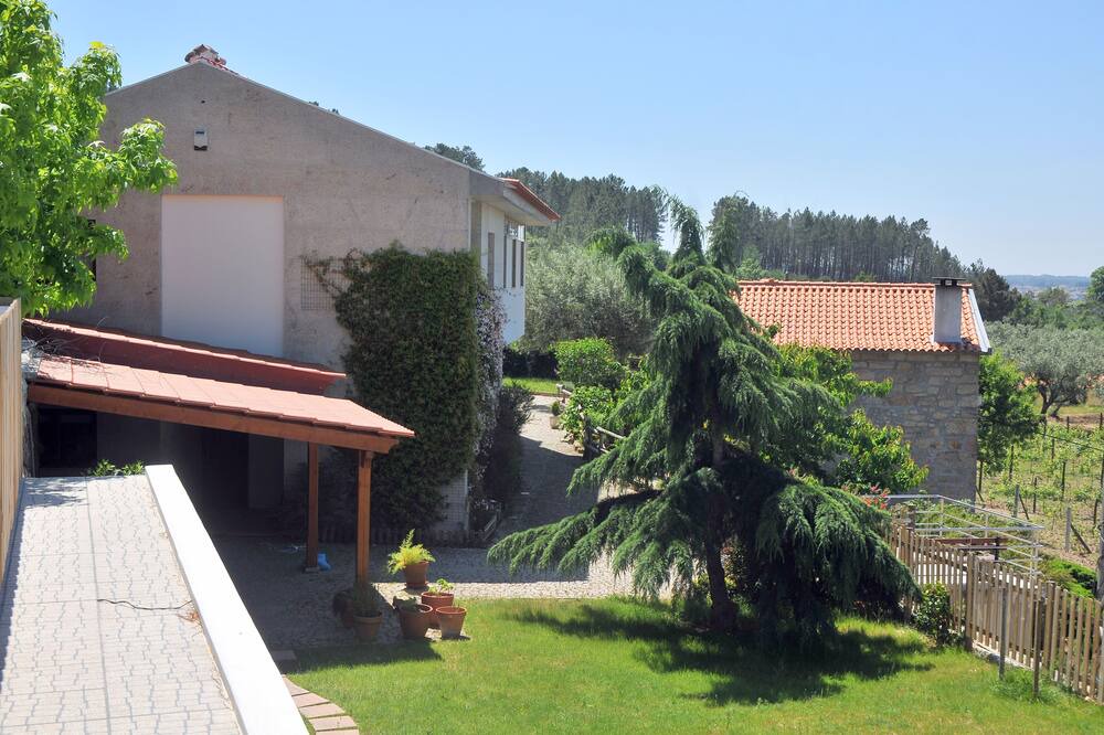 Photo of Outdoor in Seia