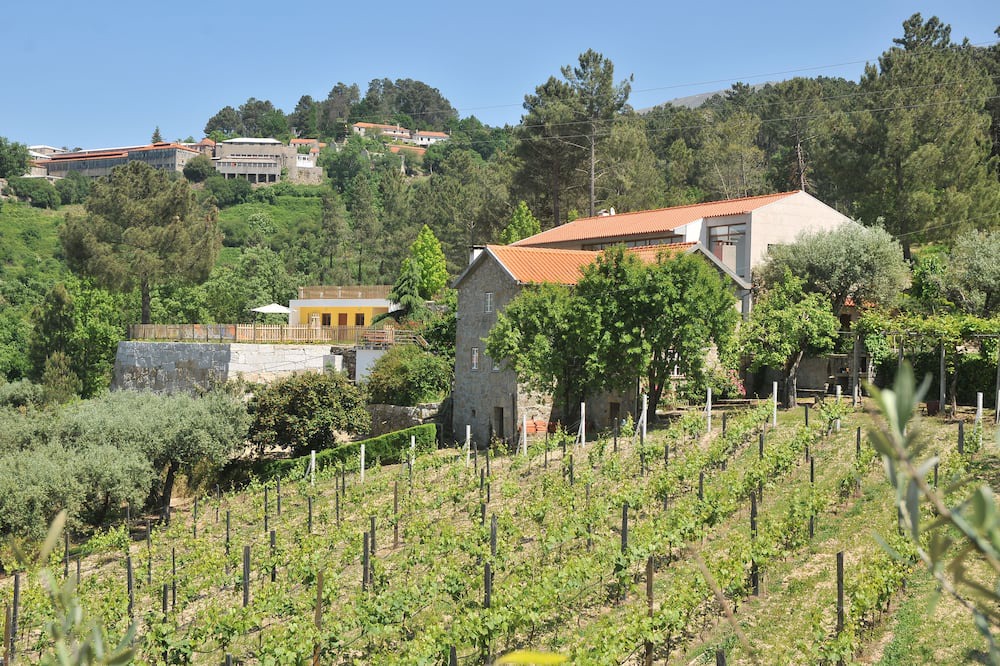 Photo of Outdoor in Seia