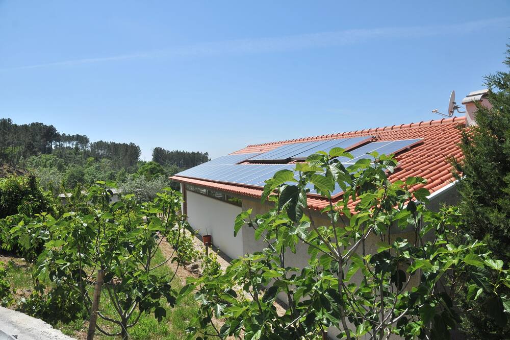 Photo of Outdoor in Seia