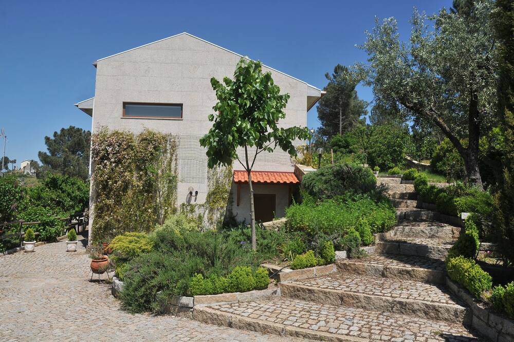 Photo of Outdoor in Seia