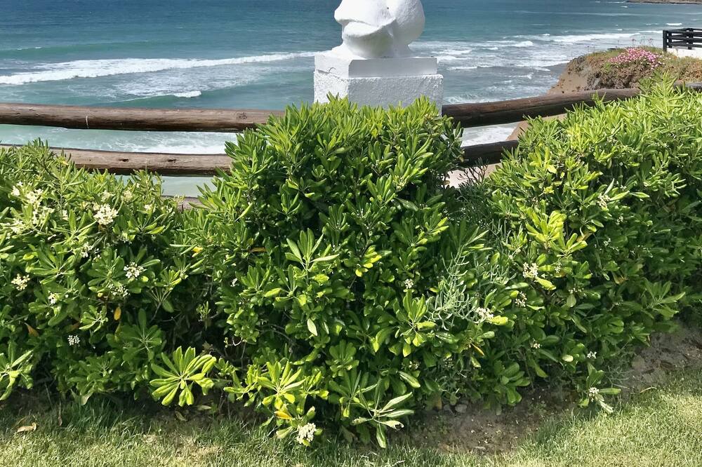 Photo of Others in Atalaia
