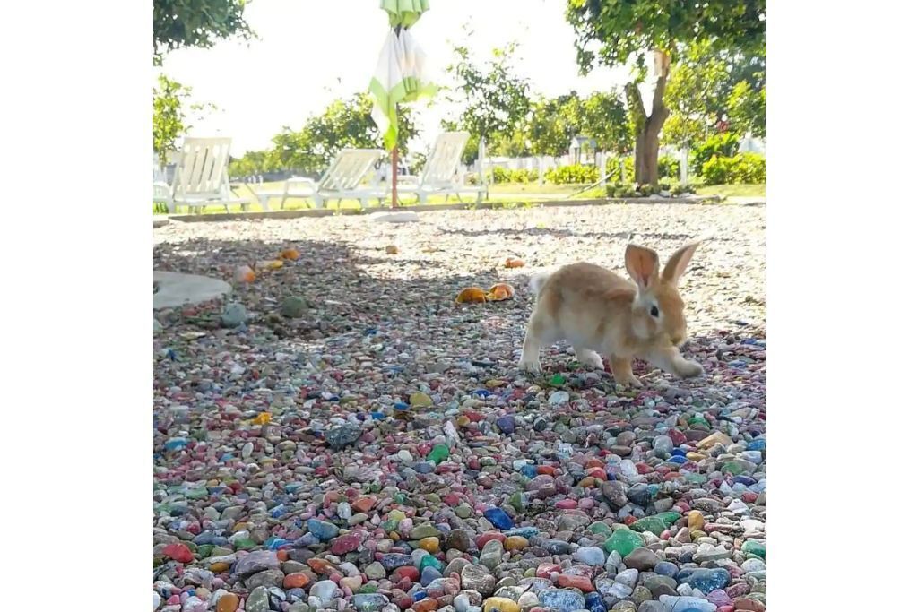Photo of Others in Oliveira do Bairro