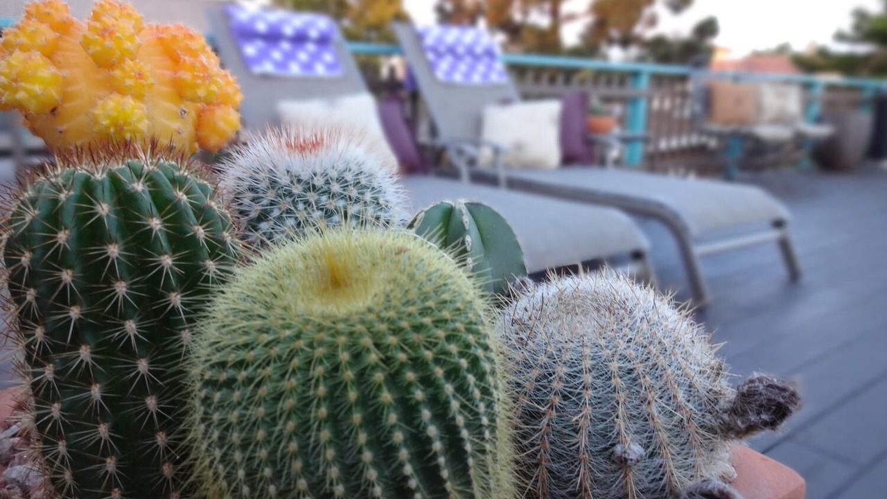 Photo of Outdoor in Santa Barbara