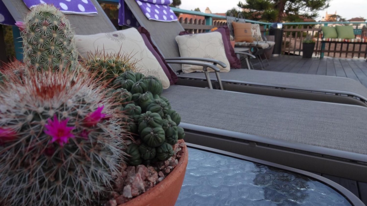 Photo of Outdoor in Santa Barbara