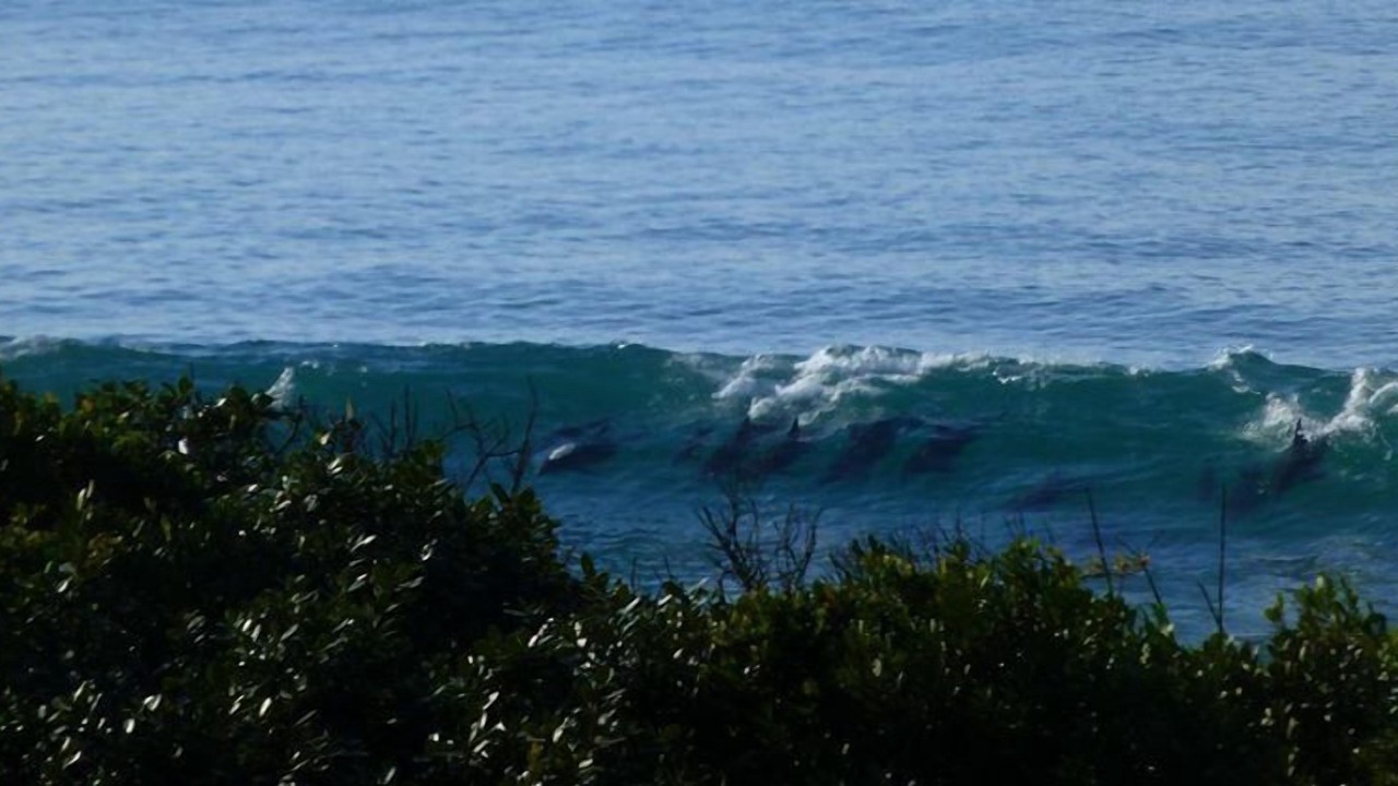 Photo of Others in Jeffreys Bay