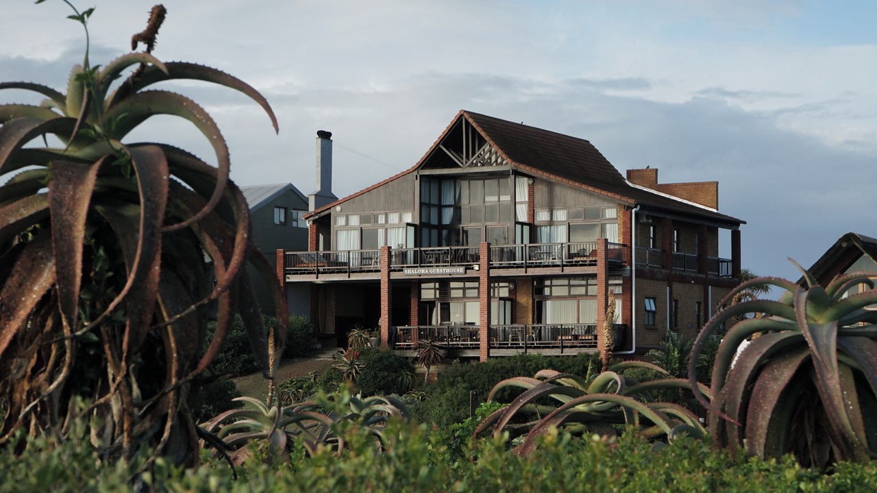 Photo of Outdoor in Jeffreys Bay
