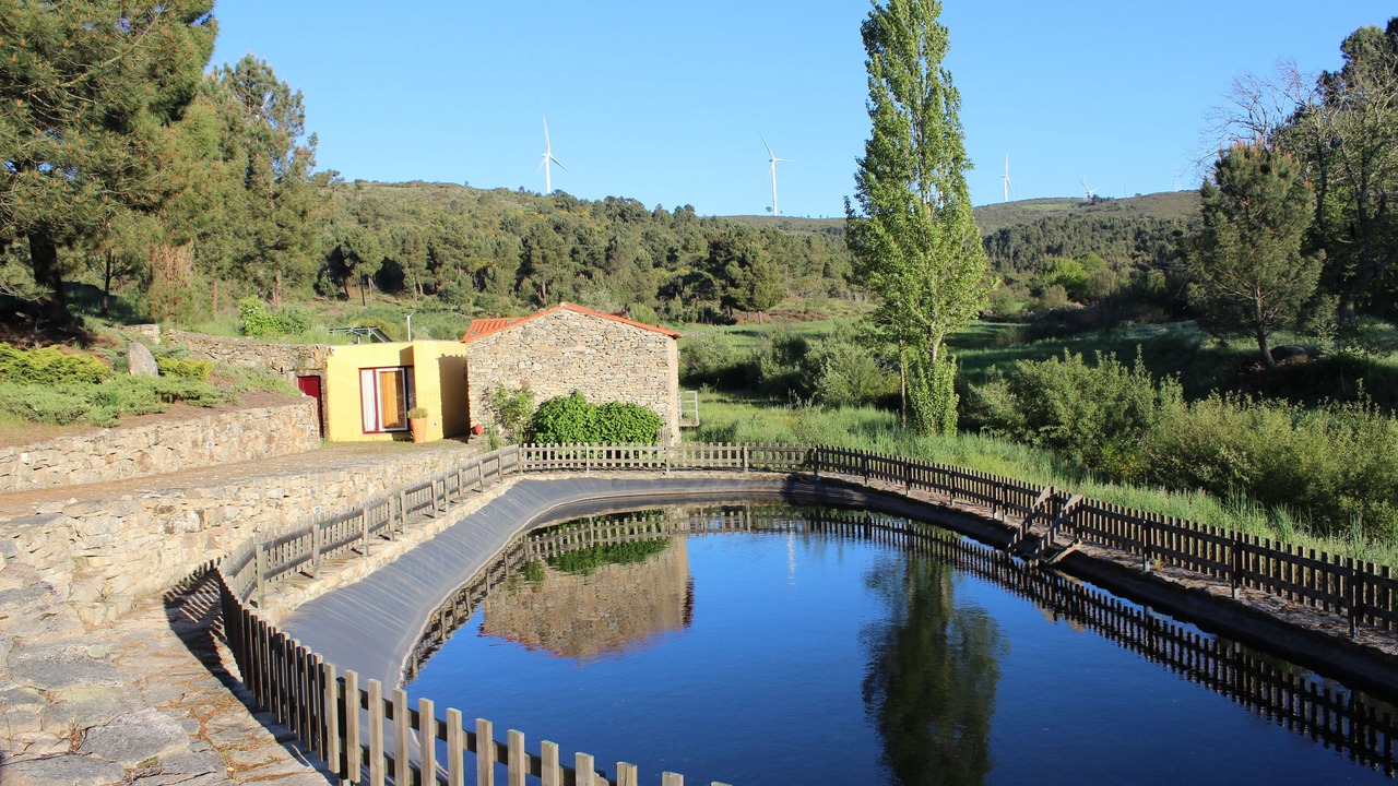 Photo of Outdoor in Moimenta da Beira