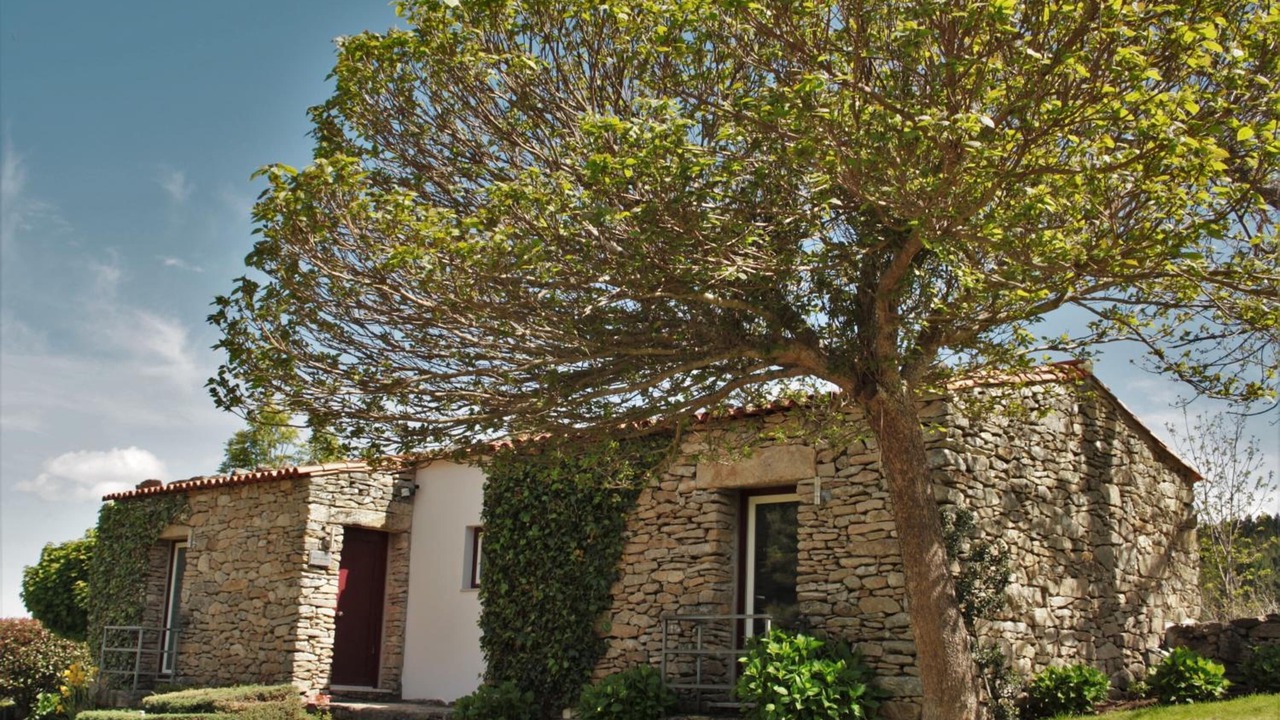 Photo of Outdoor in Moimenta da Beira