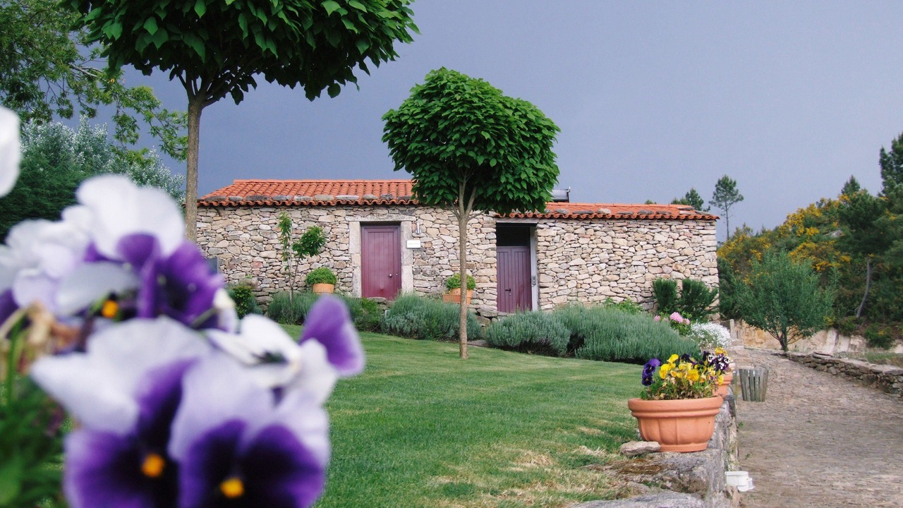 Photo of Outdoor in Moimenta da Beira