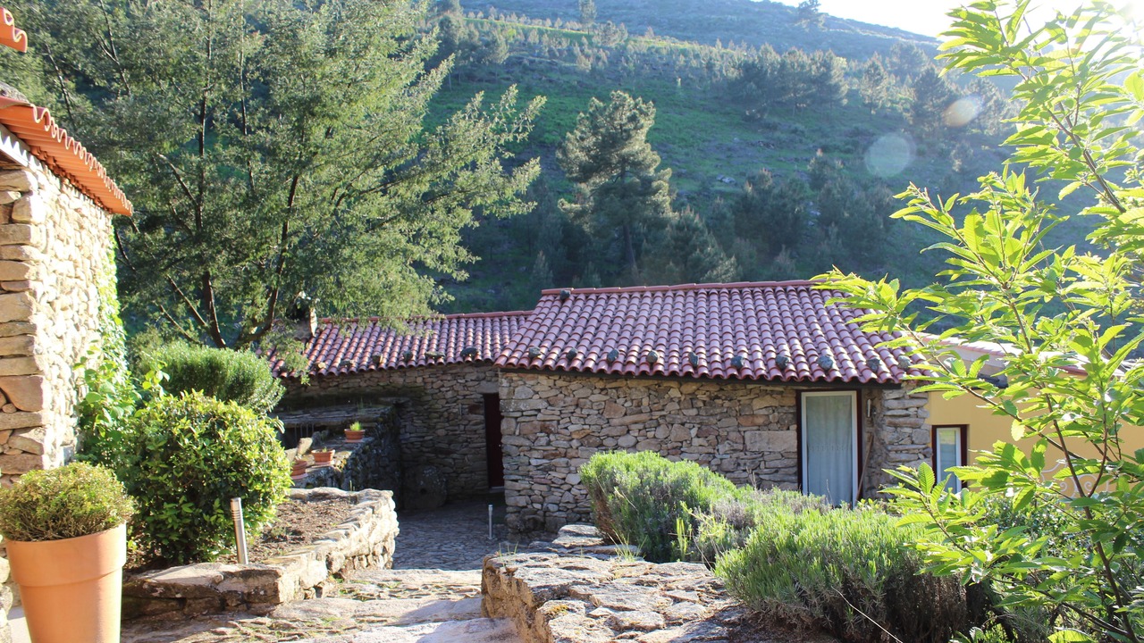 Photo of Outdoor in Moimenta da Beira