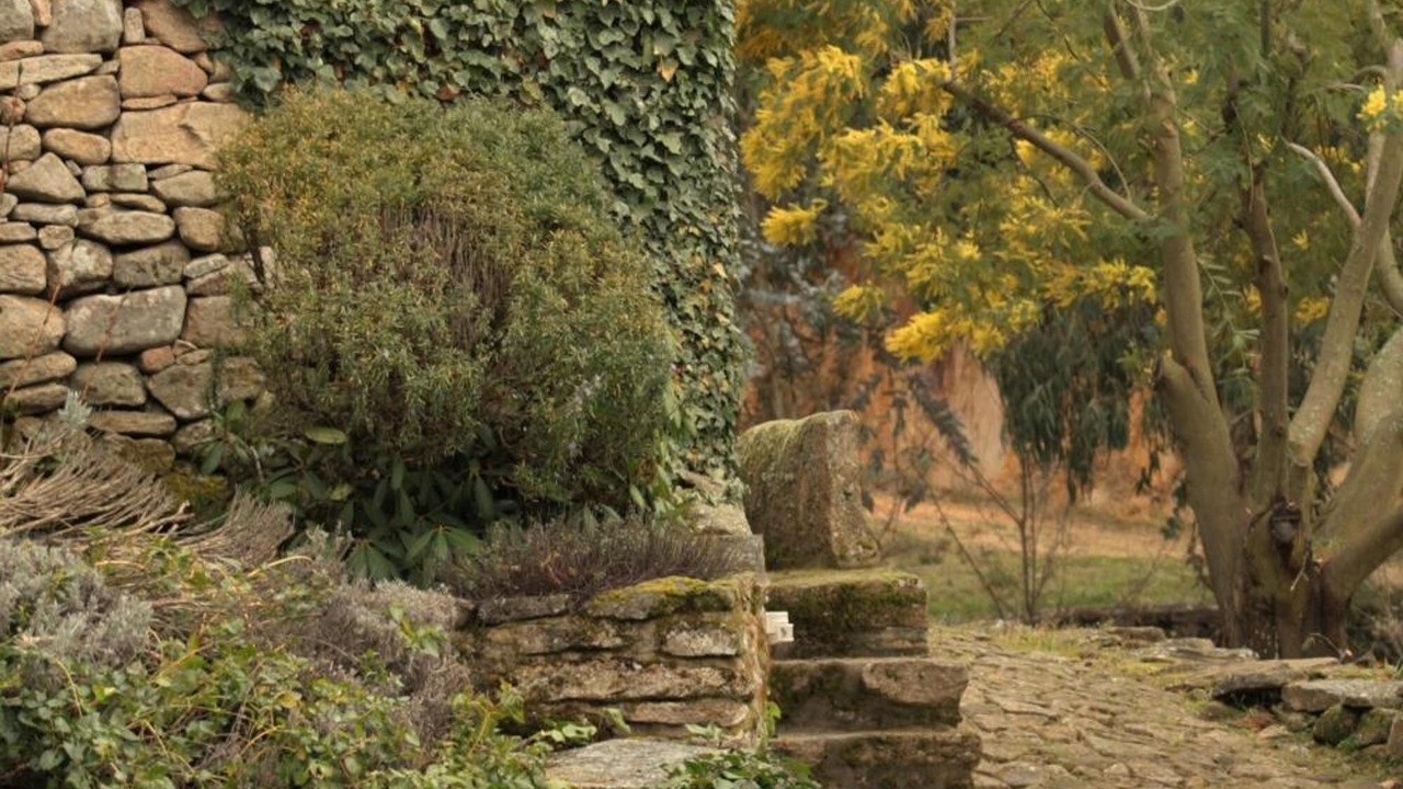Photo of Outdoor in Moimenta da Beira