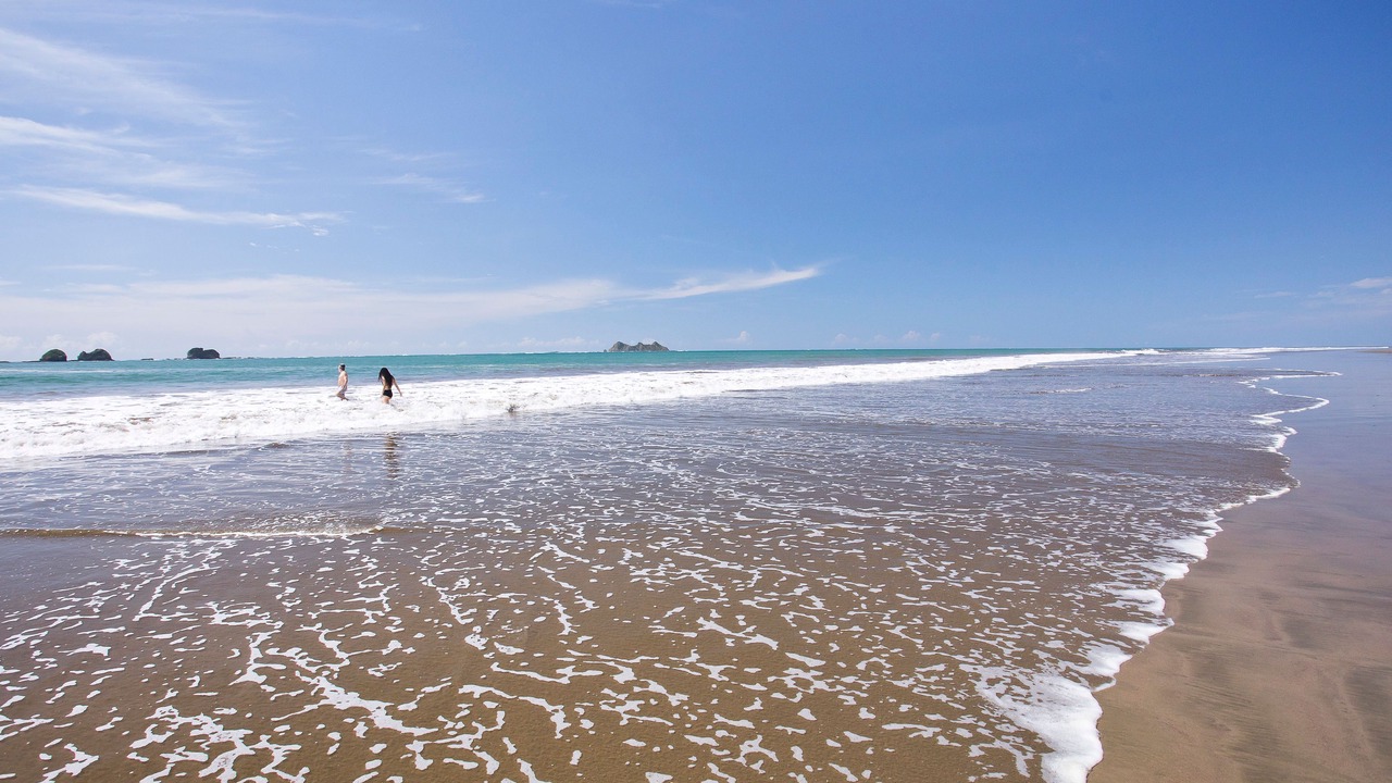 Photo of Others in Ballena