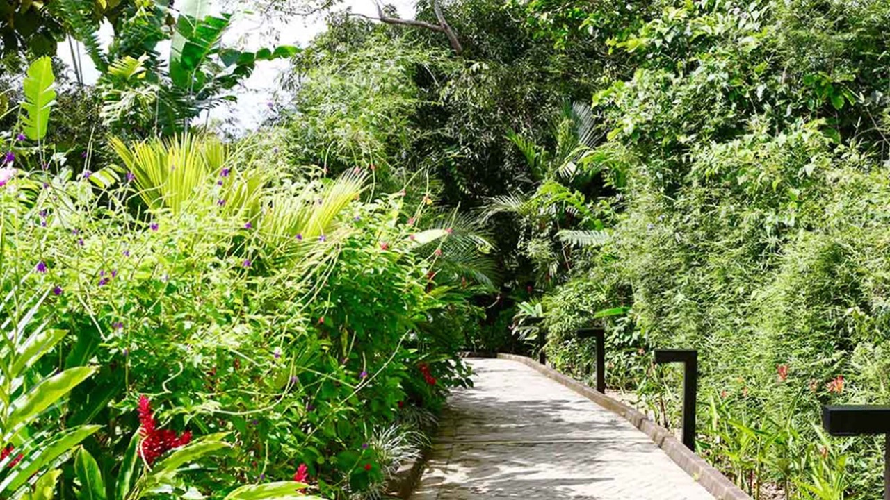 Photo of Outdoor in Ballena
