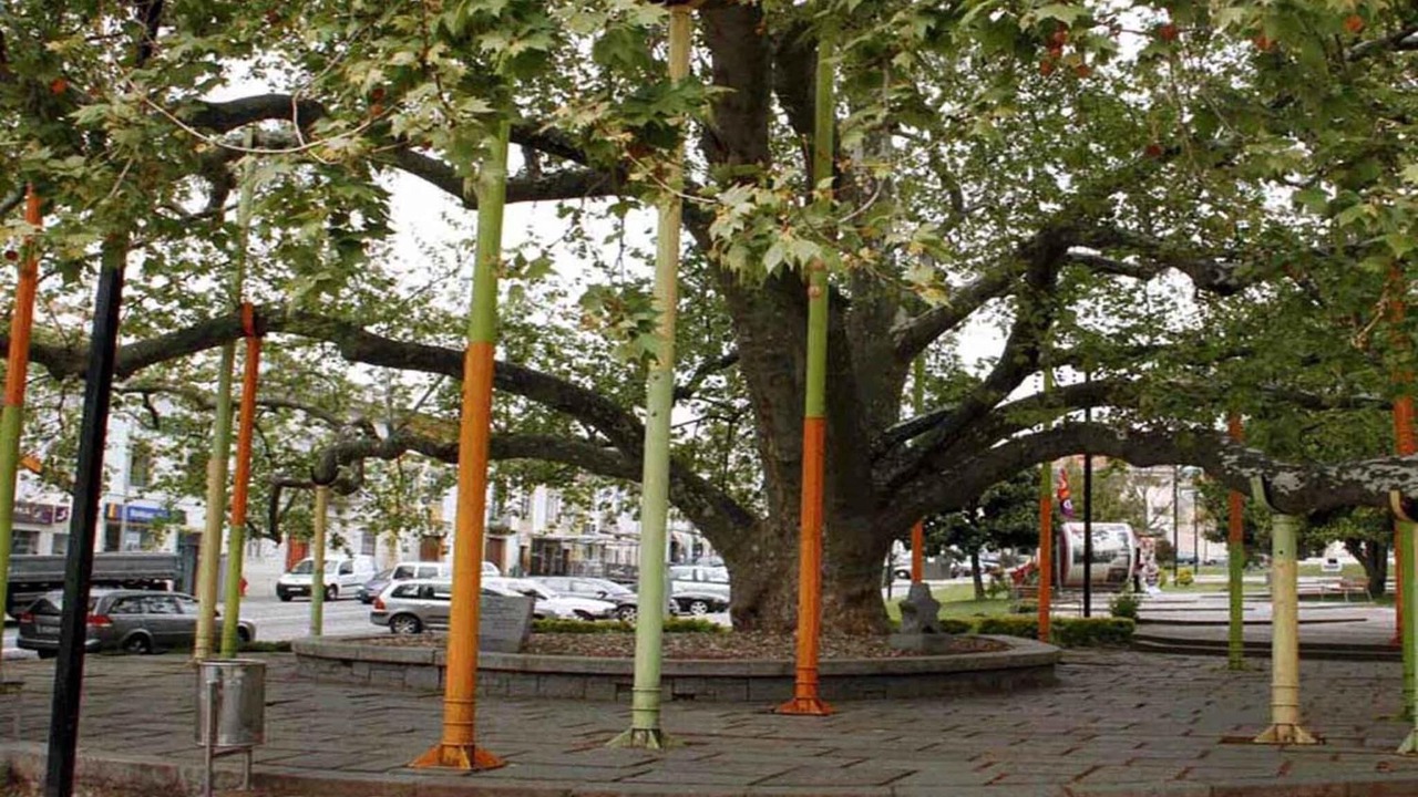 Photo of Outdoor in Portalegre