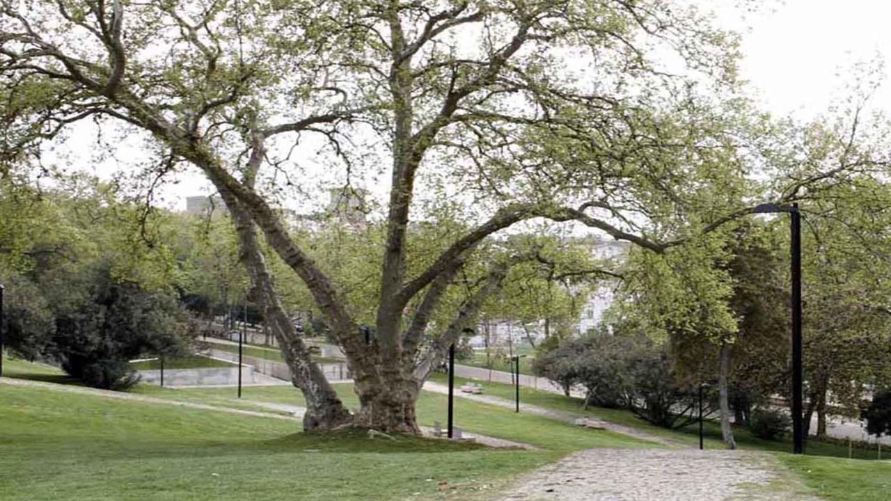 Photo of Outdoor in Portalegre