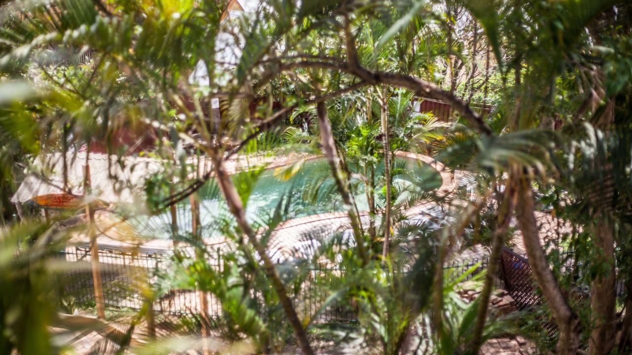 Photo of Outdoor in Highgate Hill