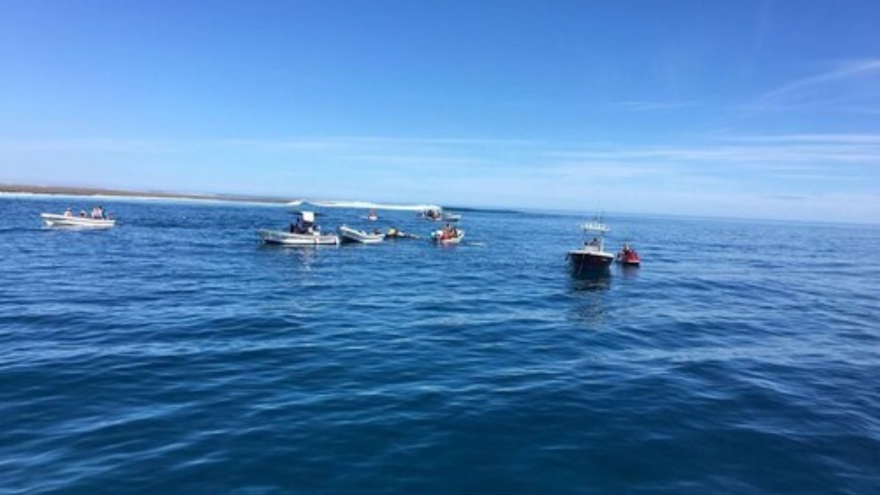 Photo of Others in Malolo Island