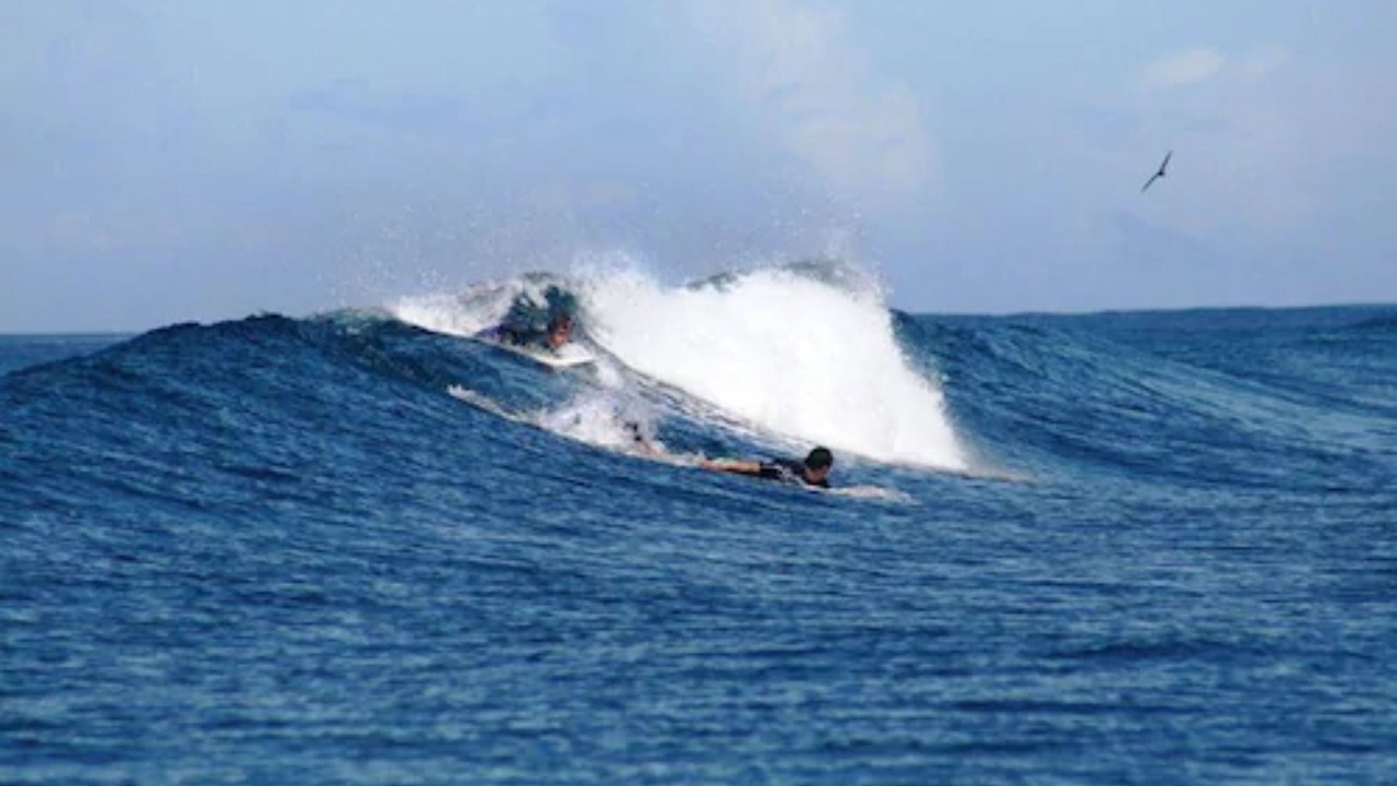 Photo of Others in Malolo Island
