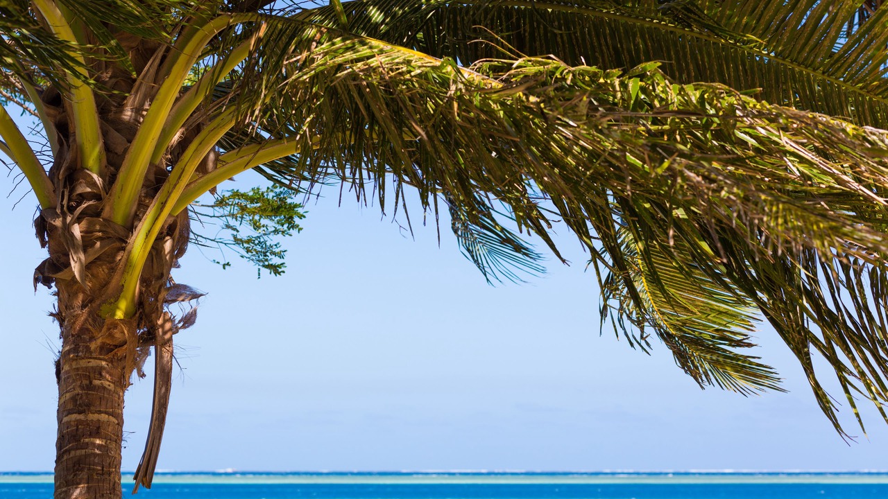 Photo of Others in Malolo Island