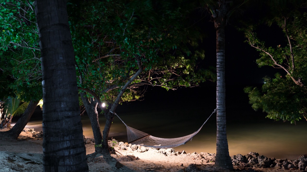 Photo of Others in Malolo Island
