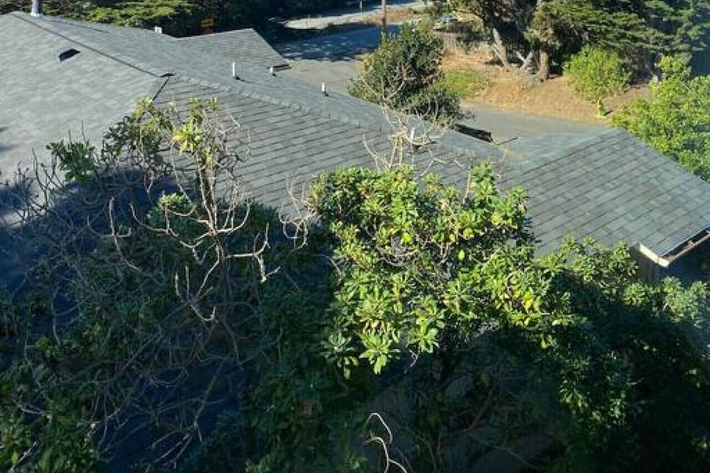Photo of Others in Montara