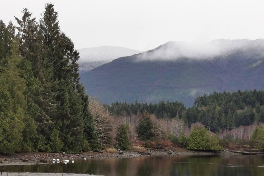 Photo of Others in Ucluelet