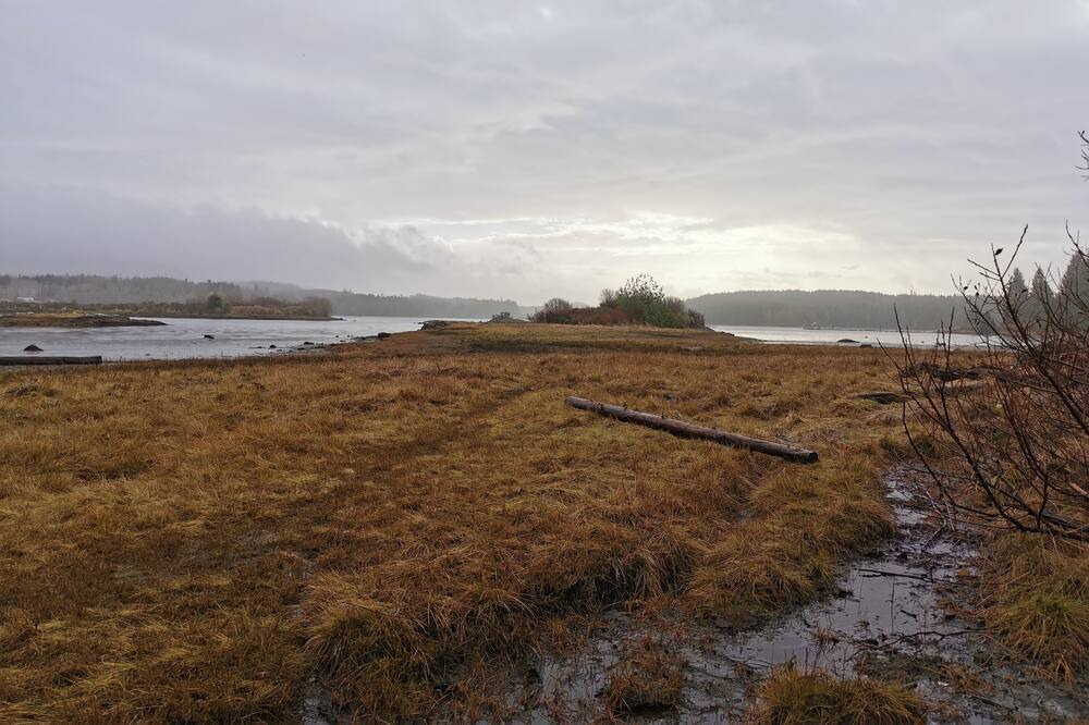 Photo of Others in Ucluelet
