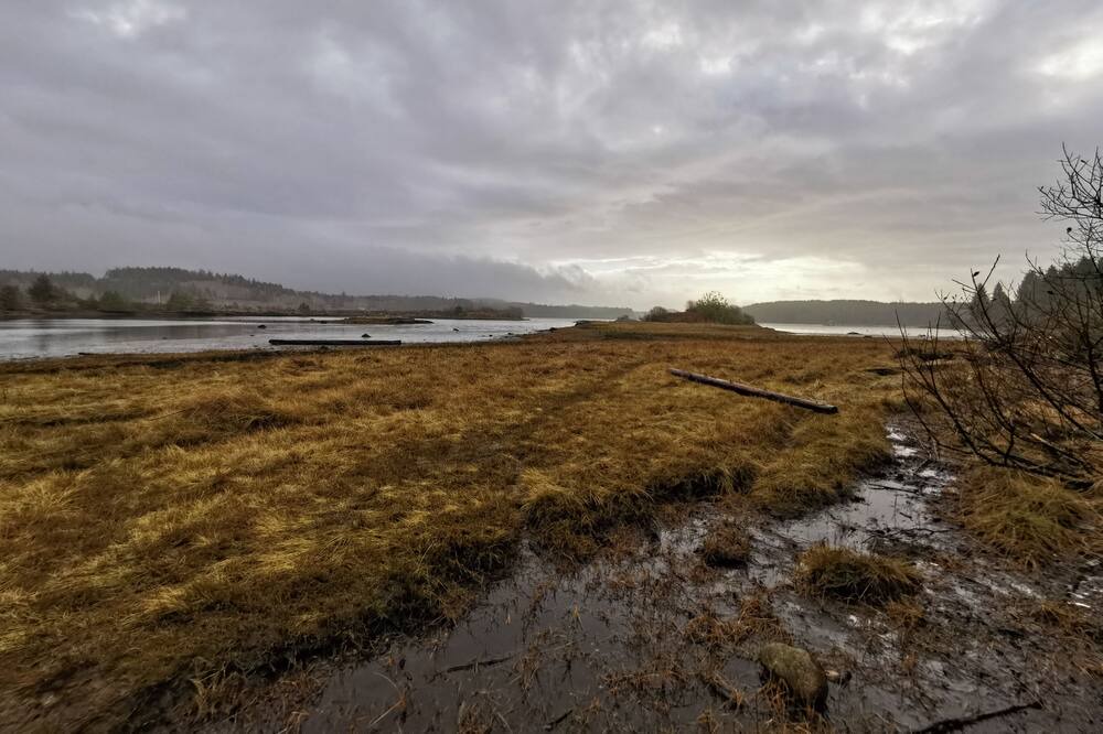 Photo of Others in Ucluelet